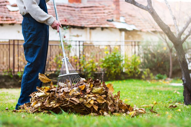 Removing Leaves from a Garden Bed