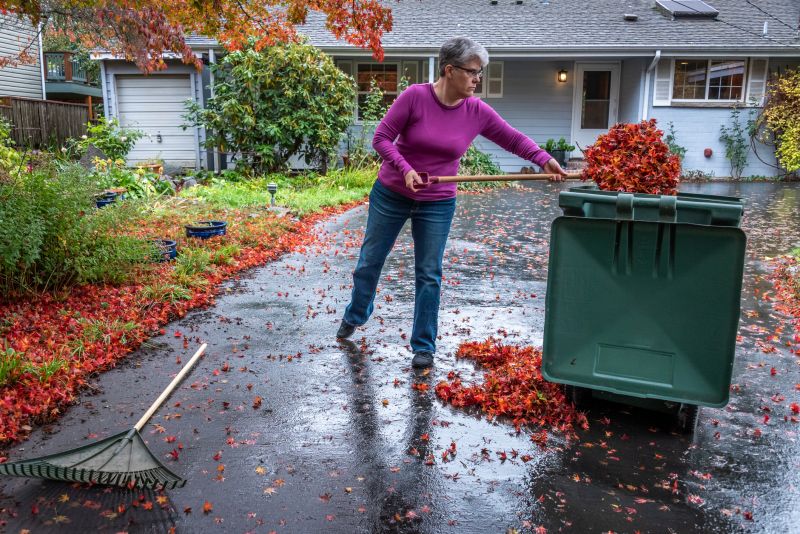 Bagging and Disposal of Leaves