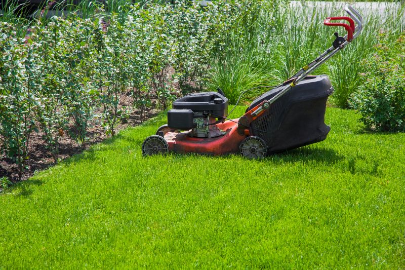 Lawn Mowing detail