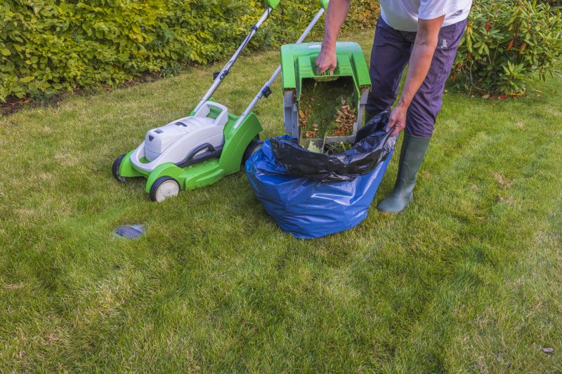 Weekly Lawn Care detail