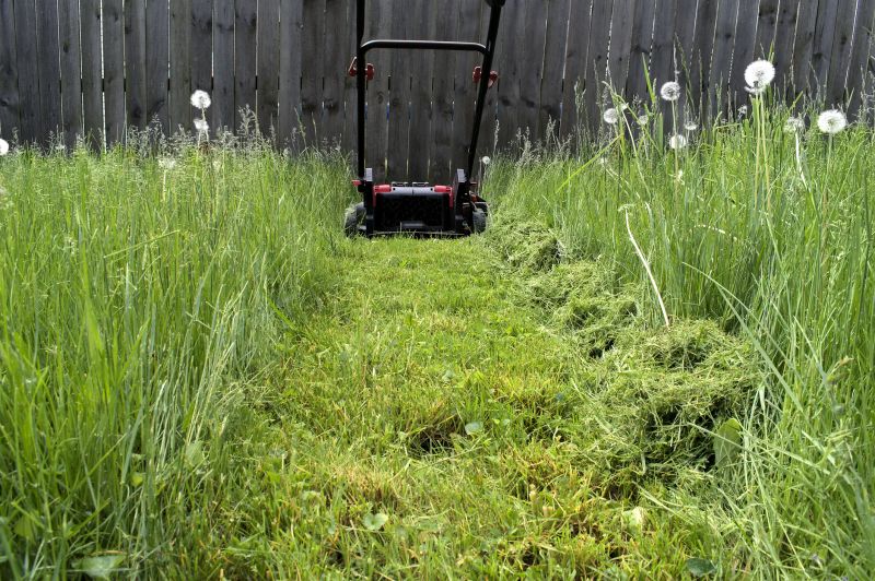 Lawn Trimming Equipment