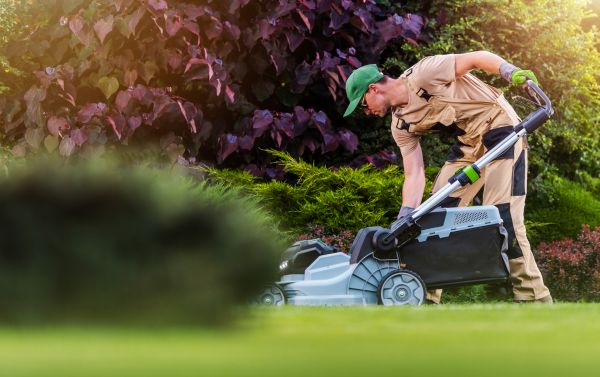 Lawn Care And Maintenance Service