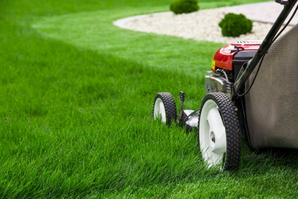 Yard Maintenance in Aurora