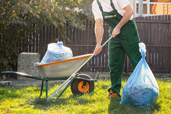 Yard Cleaning in Aurora