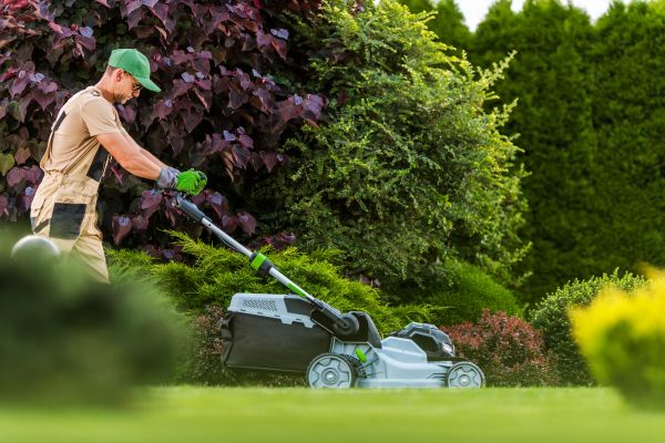 Lawn Management