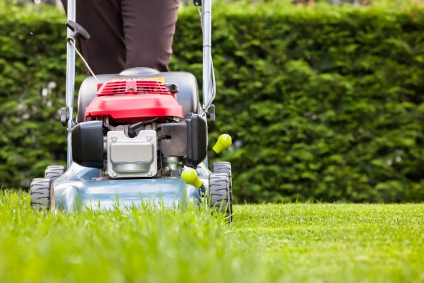 Grass Trimming Service in Aurora