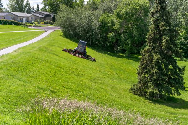 Hillside Mowing in Aurora
