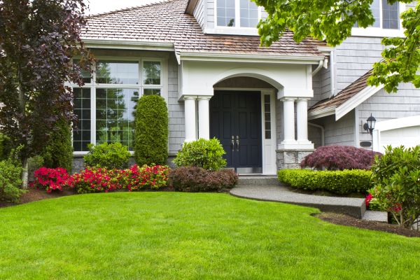 Residential Yard Care