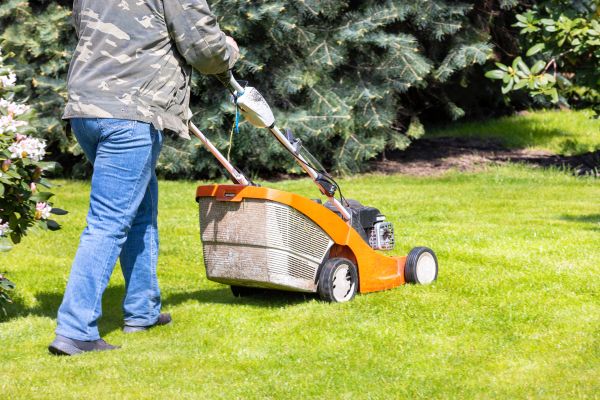 Springtime Lawn Care in Aurora