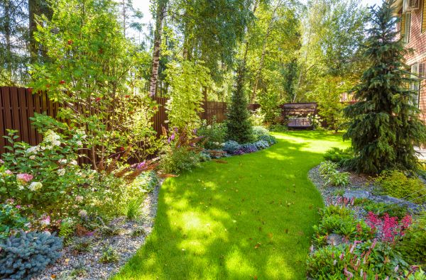 Spring Yard Maintenance in Aurora