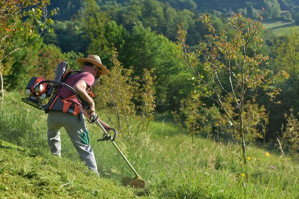 Slope Mowing in Aurora