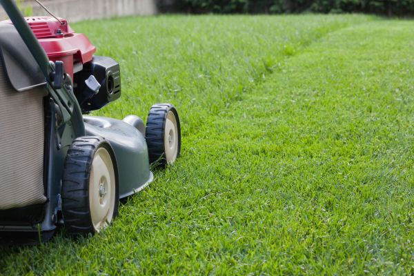Spring Lawn Maintenance in Aurora